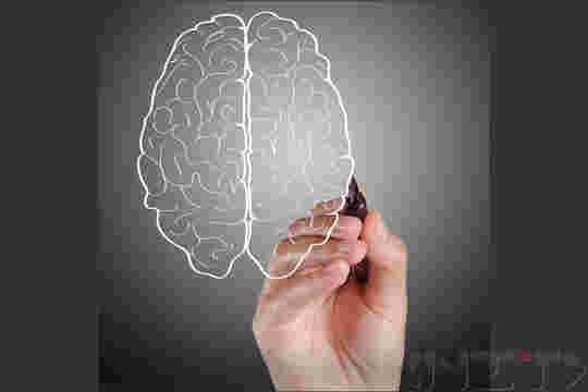Мозъкът – да го използваме максимално и да учим лесно! II част